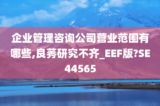 企业管理咨询公司营业范围有哪些,良莠研究不齐_EEF版?SE44565