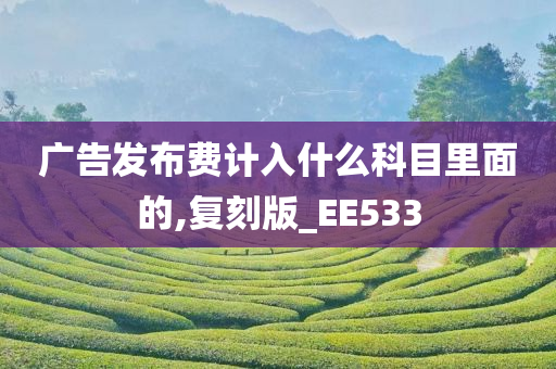 广告发布费计入什么科目里面的,复刻版_EE533