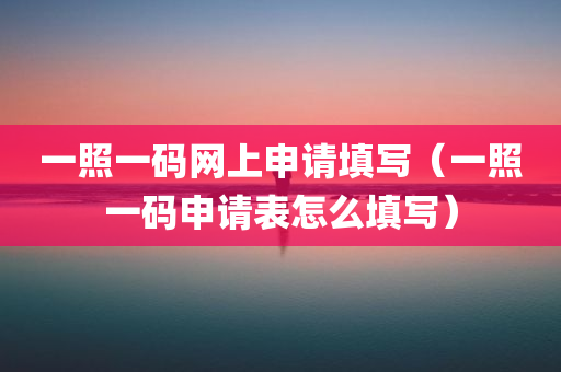 一照一码网上申请填写（一照一码申请表怎么填写）