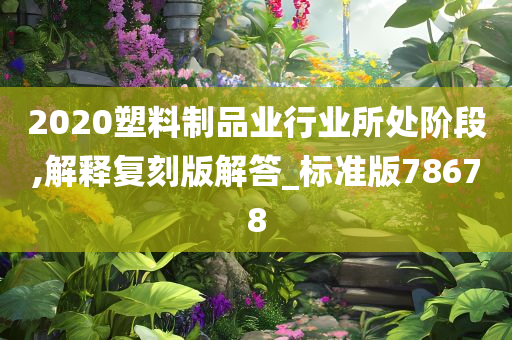 2020塑料制品业行业所处阶段,解释复刻版解答_标准版78678