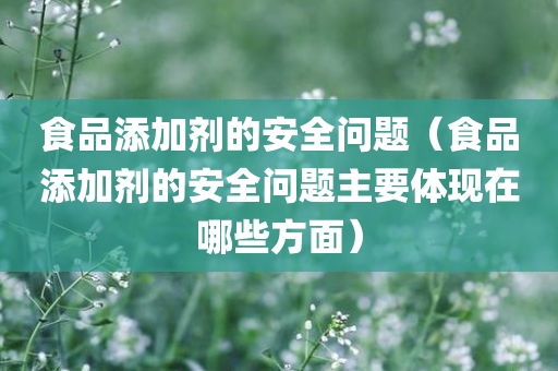 食品添加剂的安全问题（食品添加剂的安全问题主要体现在哪些方面）