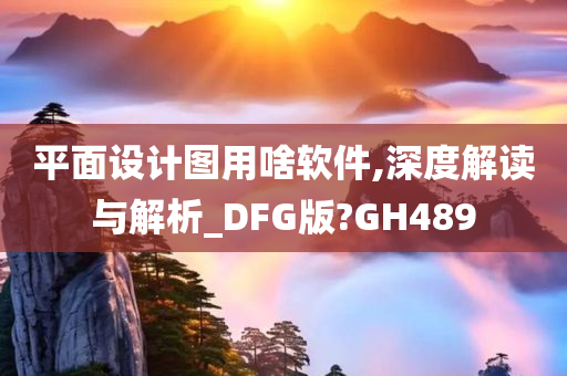 平面设计图用啥软件,深度解读与解析_DFG版?GH489