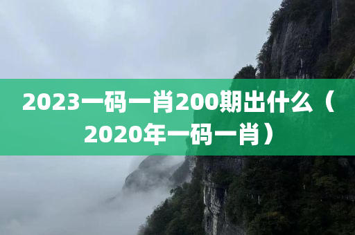 2023一码一肖200期出什么（2020年一码一肖）