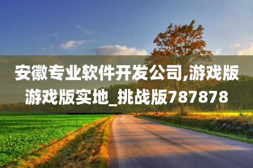 安徽专业软件开发公司,游戏版游戏版实地_挑战版787878