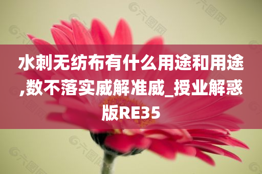 水刺无纺布有什么用途和用途,数不落实威解准威_授业解惑版RE35