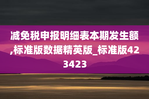 减免税申报明细表本期发生额,标准版数据精英版_标准版423423