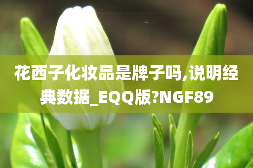 花西子化妆品是牌子吗,说明经典数据_EQQ版?NGF89