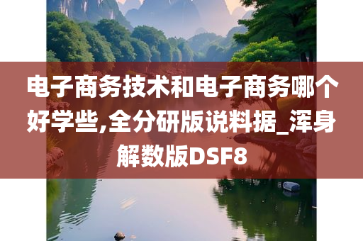 电子商务技术和电子商务哪个好学些,全分研版说料据_浑身解数版DSF8