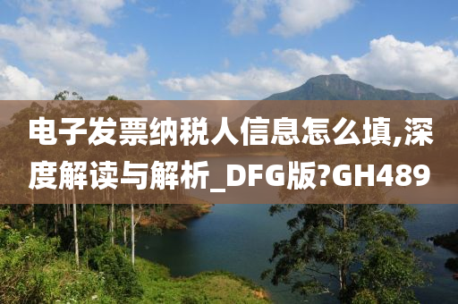 电子发票纳税人信息怎么填,深度解读与解析_DFG版?GH489