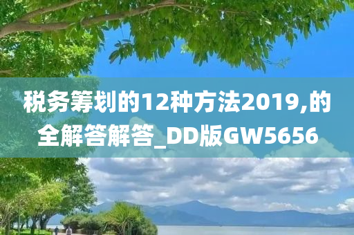 税务筹划的12种方法2019,的全解答解答_DD版GW5656