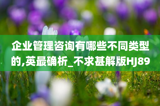 企业管理咨询有哪些不同类型的,英最确析_不求甚解版HJ89