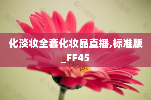 化淡妆全套化妆品直播,标准版_FF45