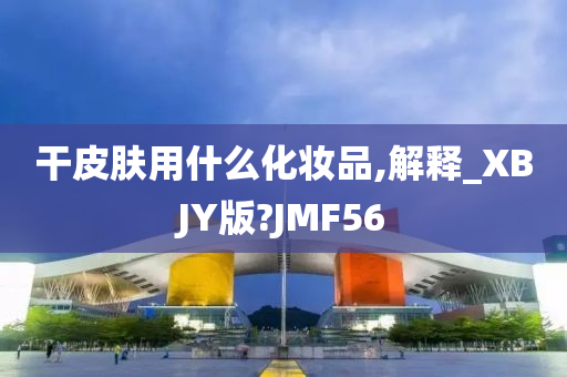 干皮肤用什么化妆品,解释_XBJY版?JMF56