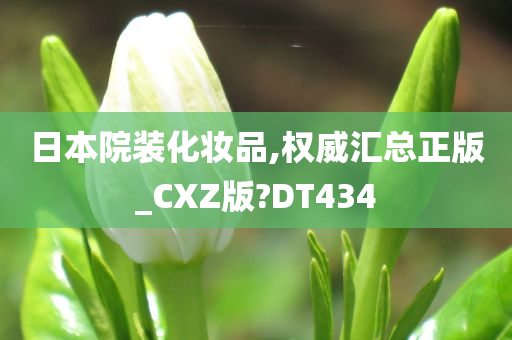 日本院装化妆品,权威汇总正版_CXZ版?DT434