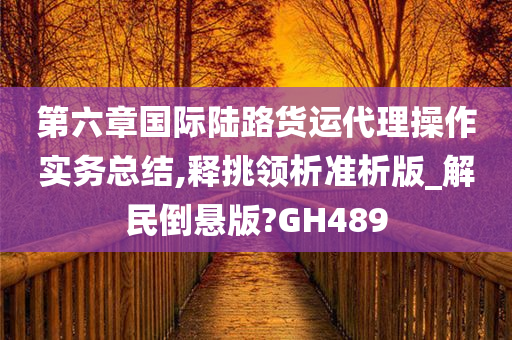 第六章国际陆路货运代理操作实务总结,释挑领析准析版_解民倒悬版?GH489