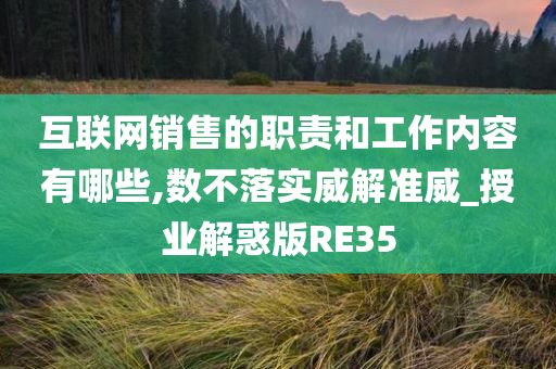 互联网销售的职责和工作内容有哪些,数不落实威解准威_授业解惑版RE35