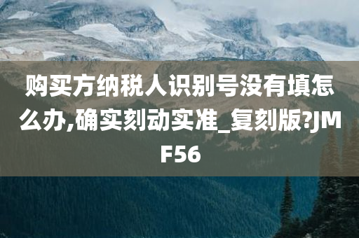 购买方纳税人识别号没有填怎么办,确实刻动实准_复刻版?JMF56