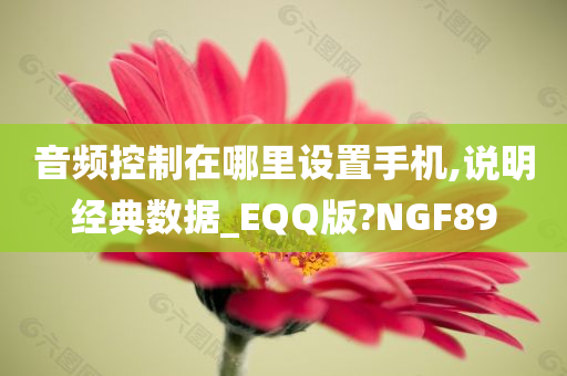 音频控制在哪里设置手机,说明经典数据_EQQ版?NGF89