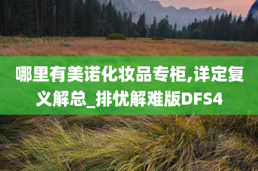 哪里有美诺化妆品专柜,详定复义解总_排忧解难版DFS4