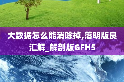 大数据怎么能消除掉,落明版良汇解_解剖版GFH5