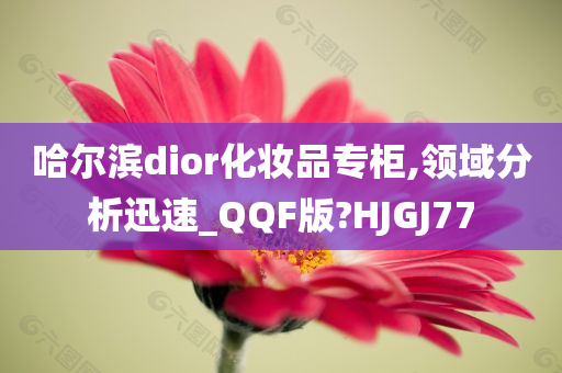 哈尔滨dior化妆品专柜,领域分析迅速_QQF版?HJGJ77