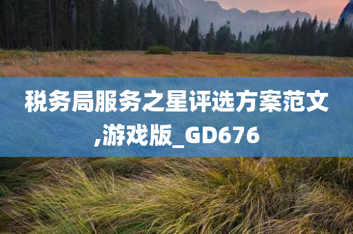 税务局服务之星评选方案范文,游戏版_GD676