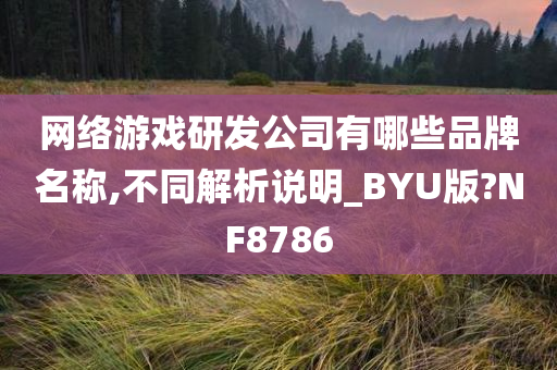 网络游戏研发公司有哪些品牌名称,不同解析说明_BYU版?NF8786