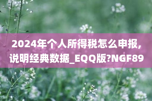 2024年个人所得税怎么申报,说明经典数据_EQQ版?NGF89