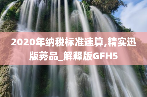 2020年纳税标准速算,精实迅版莠品_解释版GFH5