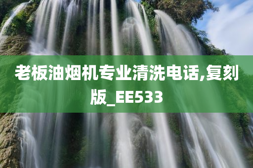 老板油烟机专业清洗电话,复刻版_EE533