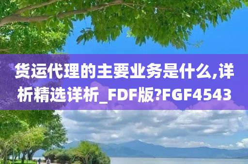 货运代理的主要业务是什么,详析精选详析_FDF版?FGF4543