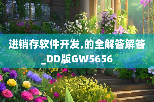 进销存软件开发,的全解答解答_DD版GW5656