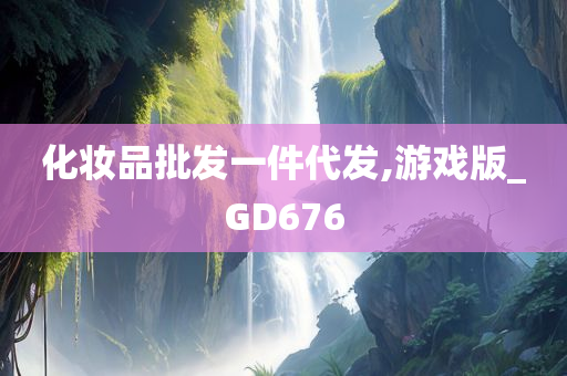 化妆品批发一件代发,游戏版_GD676