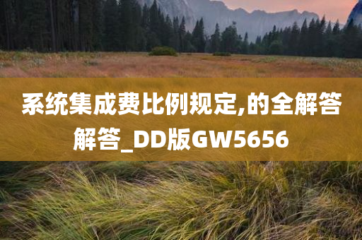 系统集成费比例规定,的全解答解答_DD版GW5656