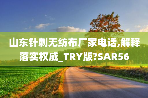 山东针刺无纺布厂家电话,解释落实权威_TRY版?SAR56