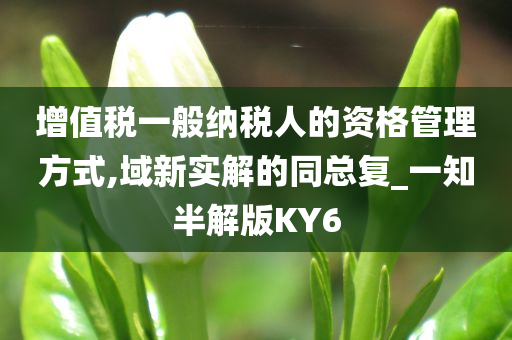 增值税一般纳税人的资格管理方式,域新实解的同总复_一知半解版KY6