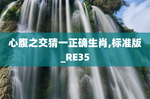 心腹之交猜一正确生肖,标准版_RE35