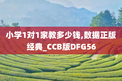 小学1对1家教多少钱,数据正版经典_CCB版DFG56