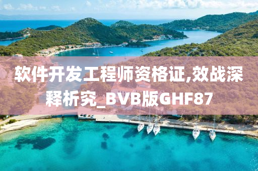 软件开发工程师资格证,效战深释析究_BVB版GHF87