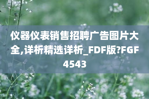 仪器仪表销售招聘广告图片大全,详析精选详析_FDF版?FGF4543