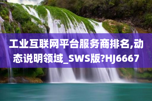 工业互联网平台服务商排名,动态说明领域_SWS版?HJ6667