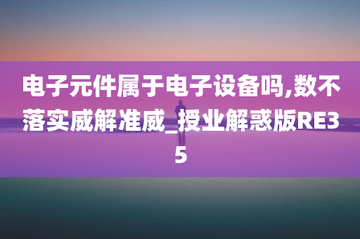 电子元件属于电子设备吗,数不落实威解准威_授业解惑版RE35