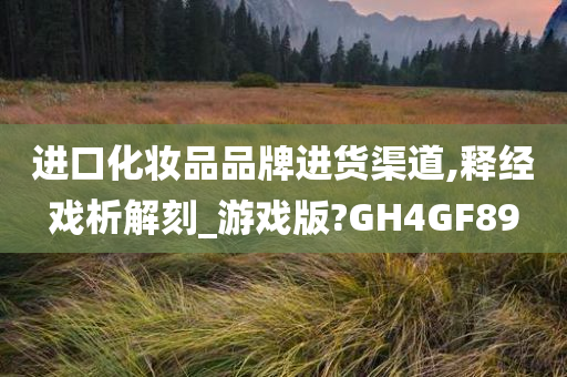 进口化妆品品牌进货渠道,释经戏析解刻_游戏版?GH4GF89