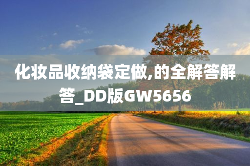 化妆品收纳袋定做,的全解答解答_DD版GW5656