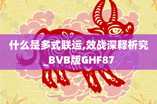 什么是多式联运,效战深释析究_BVB版GHF87