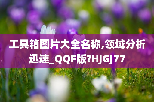 工具箱图片大全名称,领域分析迅速_QQF版?HJGJ77