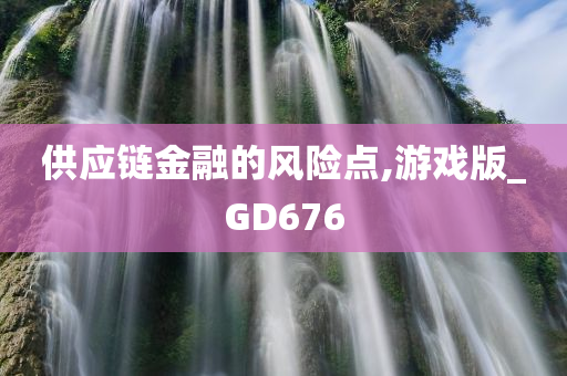 供应链金融的风险点,游戏版_GD676