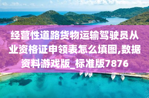 经营性道路货物运输驾驶员从业资格证申领表怎么填图,数据资料游戏版_标准版7876