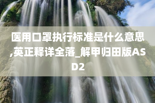 医用口罩执行标准是什么意思,英正释详全落_解甲归田版ASD2