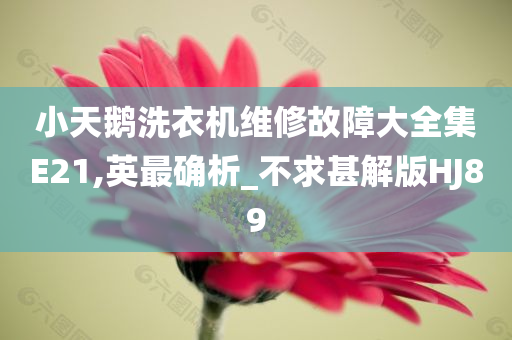 小天鹅洗衣机维修故障大全集E21,英最确析_不求甚解版HJ89